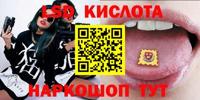 стаф Можга