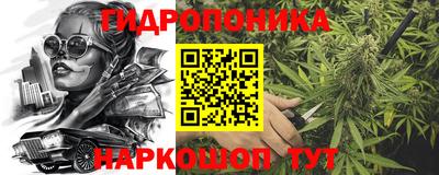 ECSTASY Моздок
