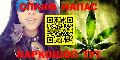 ECSTASY Моздок