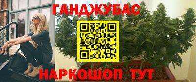 стаф Можга