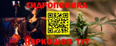 стаф Можга