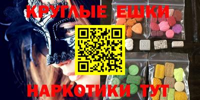 стаф Можга