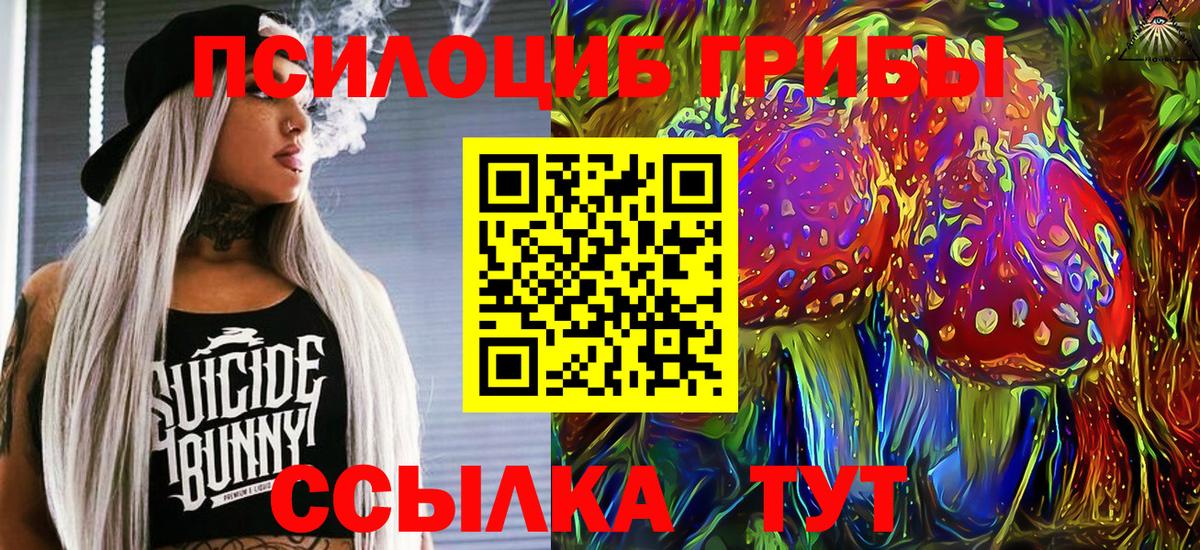 Галлюциногенные грибы Magic Shrooms Вичуга